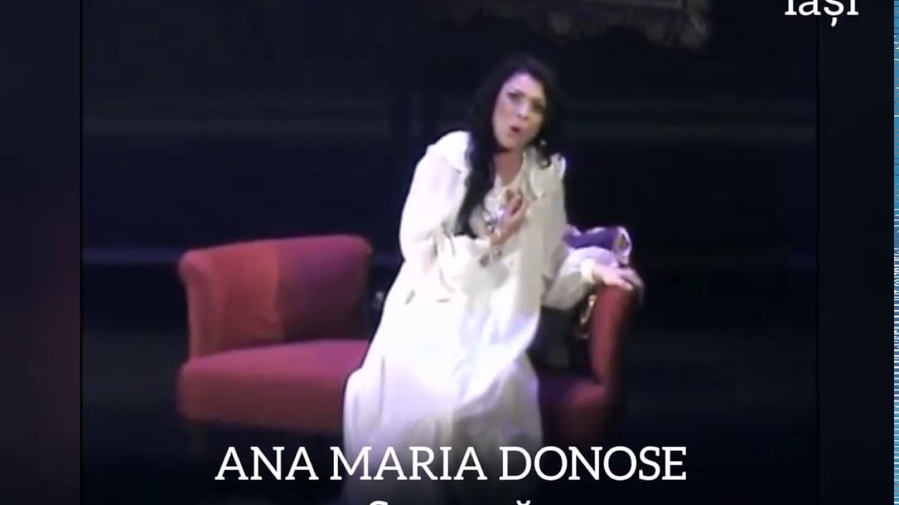 Gabriel Birjovanu Video 17